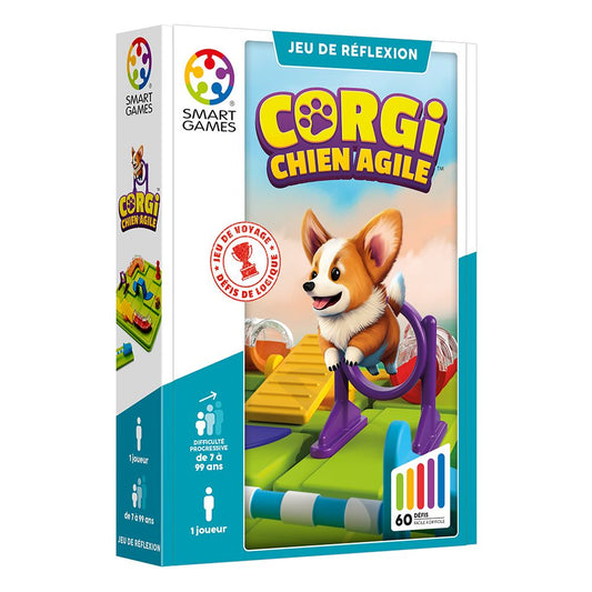 Corgi chien agile